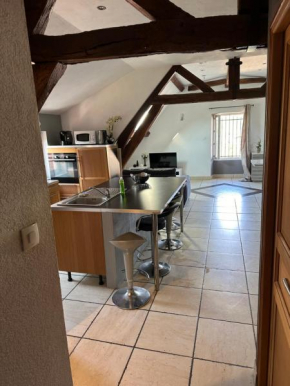 Appartement des anciennes forges